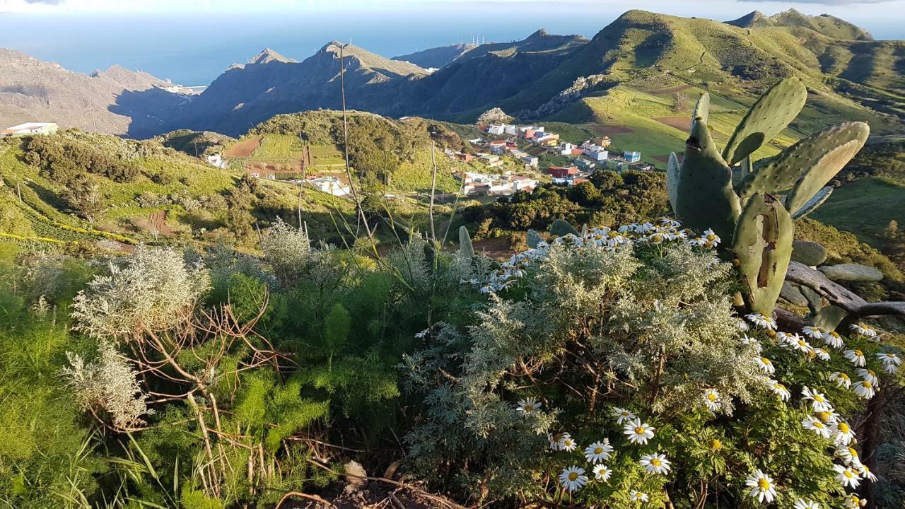 La Casita De Omar En El Corazon De Anaga Y La Laguna Las Mercedes Екстериор снимка