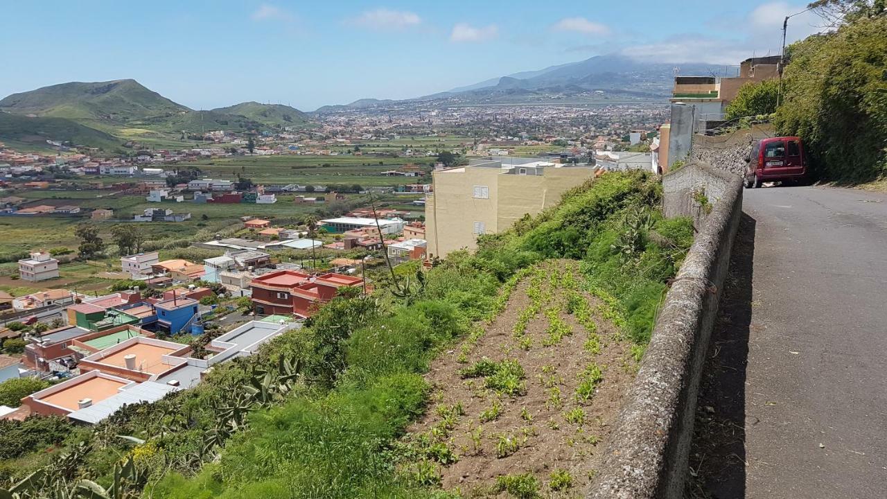 La Casita De Omar En El Corazon De Anaga Y La Laguna Las Mercedes Екстериор снимка