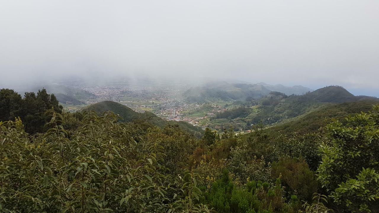 La Casita De Omar En El Corazon De Anaga Y La Laguna Las Mercedes Екстериор снимка