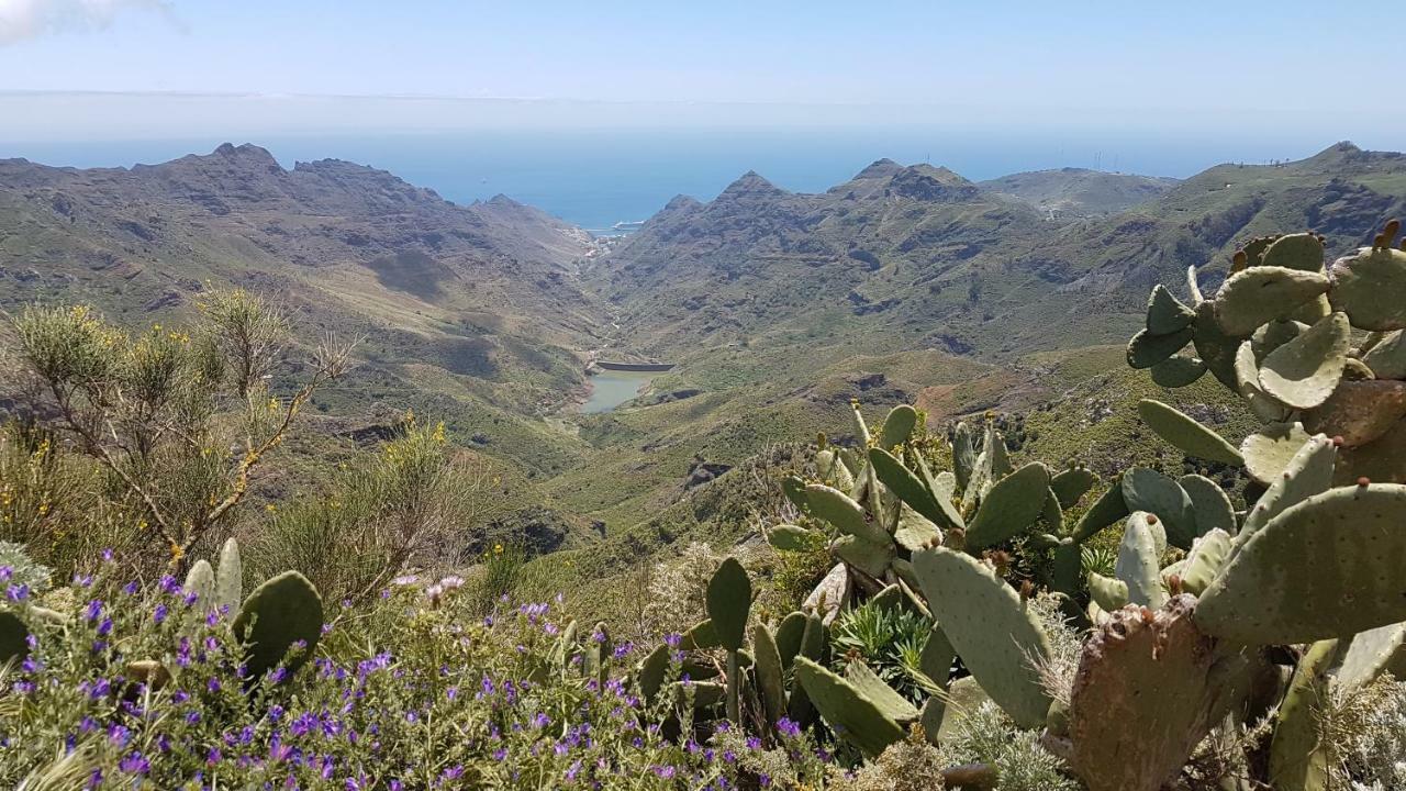 La Casita De Omar En El Corazon De Anaga Y La Laguna Las Mercedes Екстериор снимка